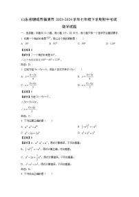 山东省聊城市临清市2023-2024学年七年级下学期期中考试数学试卷(解析版)