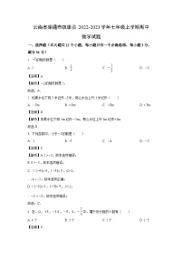 云南省昭通市镇雄县2022-2023学年七年级上学期期中数学试卷（解析版）