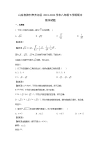 山东省德州市齐河县2023-2024学年八年级下学期期中数学试卷(解析版)