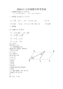 陕西省咸阳市三原县2024-2025学年九年级上学期11月期中数学试题