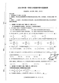 上海市浦东新区多校联考2024-2025学年九年级上学期期中考试数学试卷