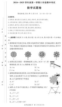 湖南省长沙市一中教育集团联考2024-2025学年八年级上学期11月期中考试数学试题