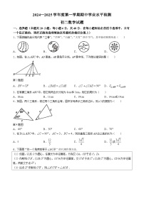 山东省淄博市张店区2024-2025学年七年级上学期11月期中数学试题