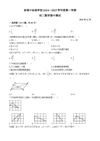 江苏省无锡市锡中实验学校2024-2025学年九年级上学期期中测试数学试卷(无答案)