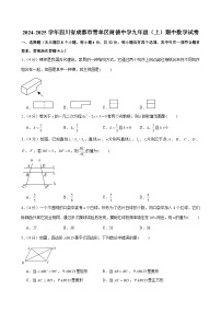 2024-2025学年四川省成都市青羊区树德中学九年级（上）期中数学试卷（含解析）