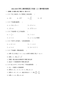 2024-2025学年上海市普陀区八年级（上）期中数学试卷（含解析）