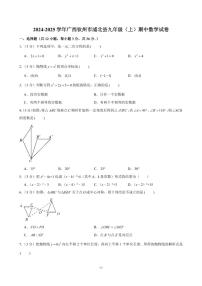 2024-2025学年广西钦州市浦北县九年级（上）期中数学试卷