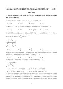 2024-2025学年四川省成都市青羊区树德实验学校西区九年级（上）期中数学试卷