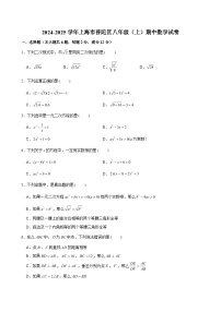 2024-2025学年上海市普陀区八年级（上）期中数学试卷