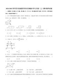 2024-2025学年四川省成都市青羊区树德中学九年级（上）期中数学试卷