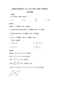 河南省信阳市息县2023-2024学年八年级下学期期中数学试卷(解析版)