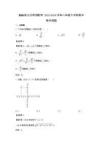 湖南省长沙市浏阳市2023-2024学年八年级下学期期中数学试卷(解析版)