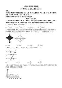 山东省青岛市市北区2024-2025学年九年级上学期11月期中考试数学试题(无答案)