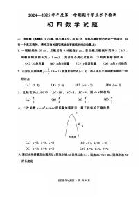 山东省淄博市张店区2024-2025学年九年级上学期11月期中数学试题