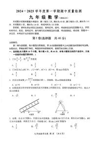 山东省济南市槐荫区2024-2025学年九年级上学期11月期中考试数学试卷