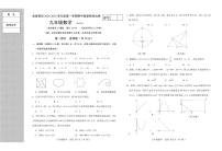 辽宁省大连市金州区2024-2025学年九年级上学期11月期中数学试题