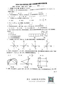 河南省驻马店市驿城区2024-2025学年八年级上学期11月期中考试数学试题