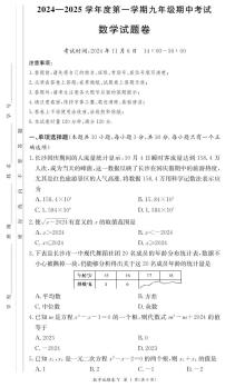 2024长沙一中集团九年级数学期中考试数学试卷