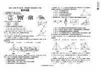 山东省德州市乐陵市2024-2025学年八年级上学期期中考试数学试题