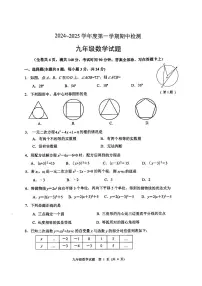 江苏省徐州市2024-2025学年九年级上学期期中检测数学试题（含答案）