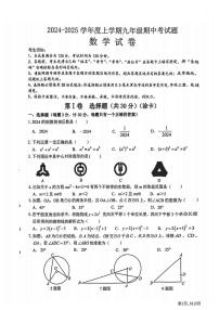 2024年哈尔滨市松北区九年级（上）期中数学试卷和答案11.5