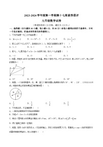 广东省茂名市高州市2024届九年级上学期月考数学试卷(含答案)