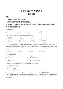 广东省茂名市高州市2024届九年级下学期中考一模数学试卷(含答案)