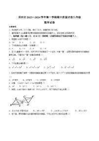 河南省南阳市邓州市2023-2024学年八年级上学期期中质量评估数学试卷(含答案)