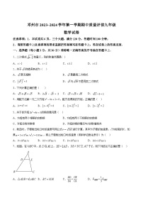 河南省南阳市邓州市2024届九年级上学期期中质量评估数学试卷(含答案)