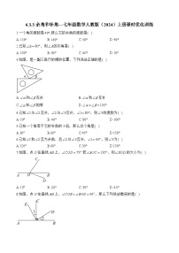 人教版（2024）七年级上册4.3.3 余角和补角达标测试