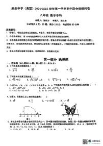 广东省深圳市宝安区新安中学（集团）2024-2025学年八年级上学期期中考试数学试卷