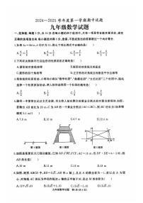 山东省枣庄市滕州市2024-2025学年九年级上学期11月期中数学试题