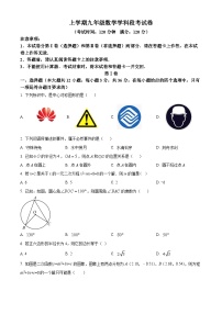 九年级上学期期中数学试题