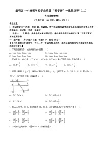 上海市崇明区2024—2025学年九年级上学期数学期中考试卷(无答案)