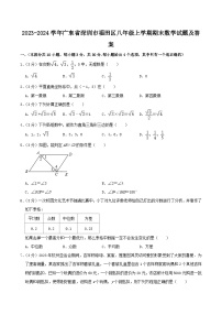 2023-2024学年广东省深圳市福田区八年级上学期期末数学试题及答案