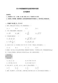 河南南阳名校联考2024年九年级上学期11月期中数学试题+答案