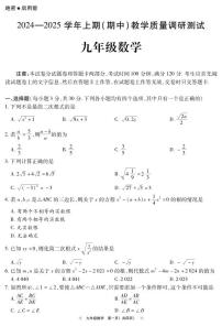 河南省鹤壁市2024-2025学年九年级上学期11月期中考试数学试题