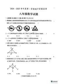 河北省保定市定州市2024-2025学年八年级上学期期中数学试卷