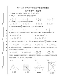 安徽省合肥市包河区2024-2025学年九年级上学期期中数学试卷