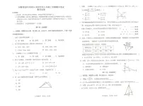安徽省池州市2024-2025学年八年级上学期11月期中联考数学试题
