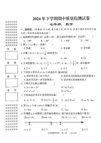 湖南省岳阳市2024-2025学年七年级上学期11月期中考试数学试题