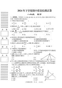 湖南省岳阳市2024-2025学年八年级上学期11月期中考试数学试题