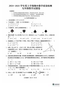 湖北省黄石市教联体期中考试2024-2025学年九年级上学期11月期中数学试题