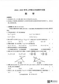 河南省郑州市北师大版2024～2025学年九年级上学期数学期中九校联考（试卷及答案）