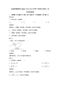 云南省曲靖市沾益区2023-2024学年下学期七年级4月月考考测数学试卷[解析版]