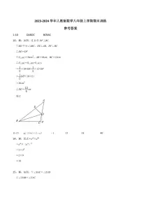 2023-2024学年人教版数学八年级上学期期末训练