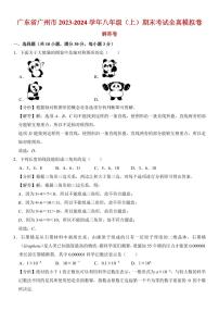 广州2023-2024学年八年级（上）期末考试全真数学模拟卷