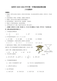 广东省深圳市龙岗区2023-2024学年八年级上学期1月期末数学试题