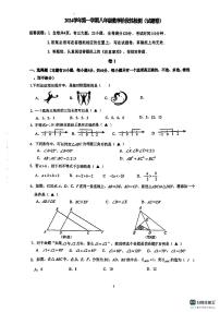 浙江省温州实验中学2024-2025学年八年级上学期期中测试数学试卷