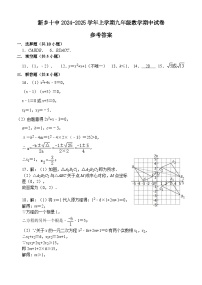 河南省新乡市第十中学2024-2025学年九年级上学期11月期中考试数学试题